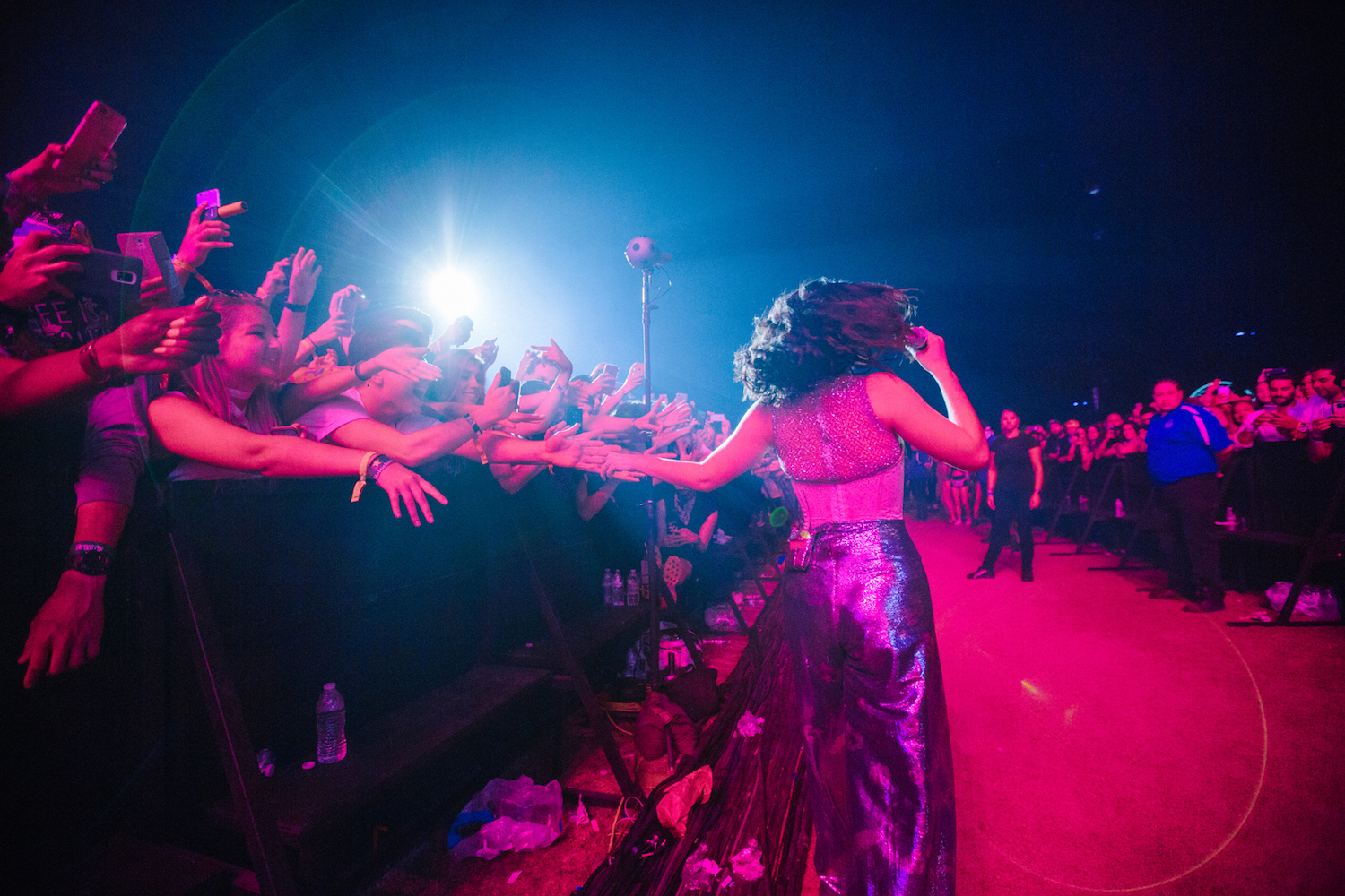 Lorde in concert, photographed from behind near the barrier, running her hand along the hundreds of hands stretched out towards her.