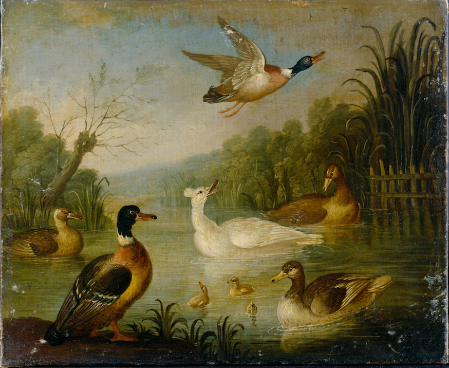 painting of ducks on a pond by Marmaduke Cradock.